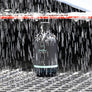 Snow | PH Neutral Wash